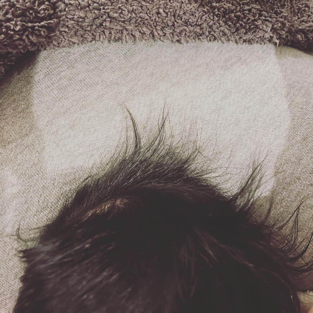 英玲奈さんのインスタグラム写真 - (英玲奈Instagram)「髪の毛沢山で産まれて来た娘。 さらに伸びて来て襟足長く、 トップはツンツンしてきた。 沐浴後の授乳中にブラシで整えるのが日課。  #娘 #女の子ベビー #女の子ママ #生後1ヶ月  #髪の毛ふさふさ #ブラッシング #授乳中 #肩バキバキだけど #幸せ時間」1月10日 17時03分 - erena_erenyan