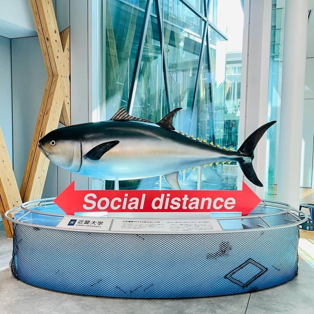近畿大学総務部広報室のインスタグラム