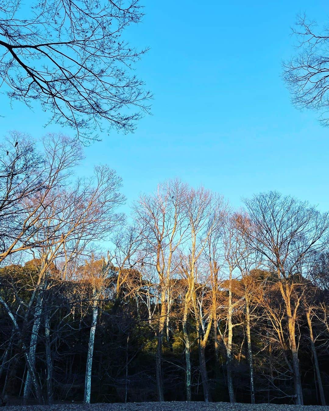 谷川じゅんじさんのインスタグラム写真 - (谷川じゅんじInstagram)「Tokyo sunset. 深呼吸して夕陽見て前向いて。#beautifulsunset #goodvibesonly #goodneighbors #thisistokyo」1月10日 17時19分 - junjitanigawa