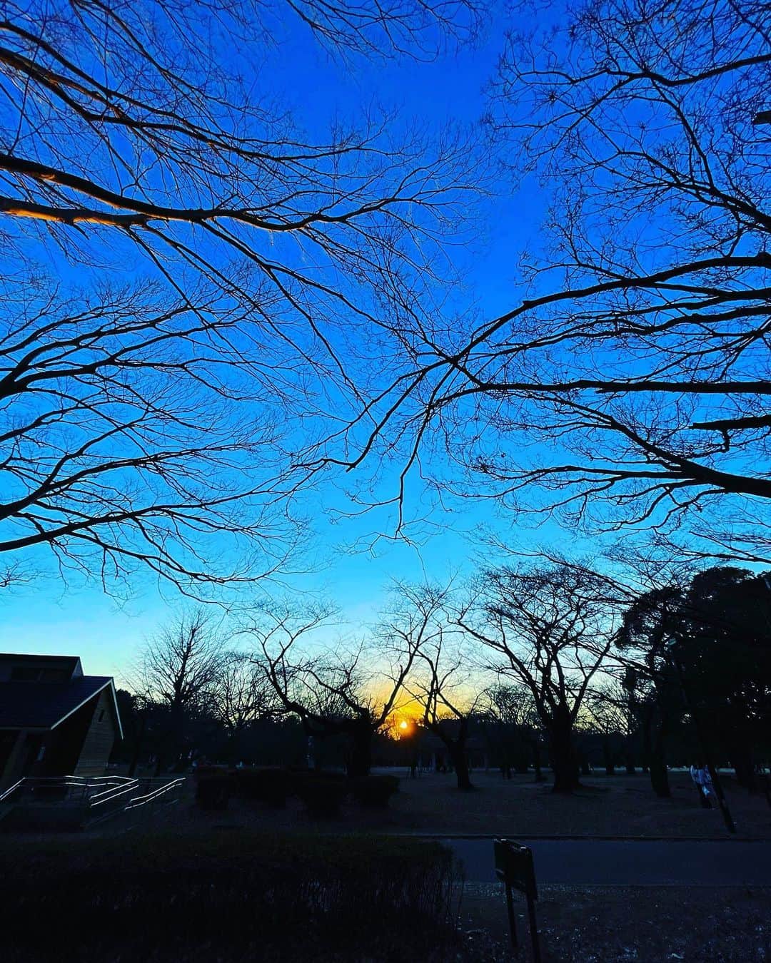 谷川じゅんじさんのインスタグラム写真 - (谷川じゅんじInstagram)「Tokyo sunset. 深呼吸して夕陽見て前向いて。#beautifulsunset #goodvibesonly #goodneighbors #thisistokyo」1月10日 17時19分 - junjitanigawa
