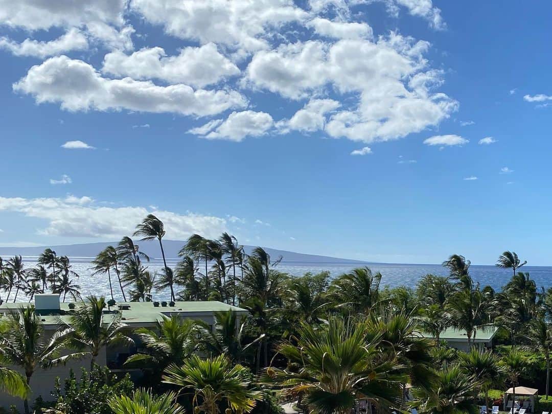 ジェシー・カーマイケルさんのインスタグラム写真 - (ジェシー・カーマイケルInstagram)「Thanks @andazmaui for another in a long series of magical trips for @taralank and I ... from 2013... to 2018... and now 2021... this time with our 2 wonderful children... So grateful for the Aloha spirit of the Hawaiian Islands... Babe here’s to a lifetime of return trips and new adventures... Happy New Year Y’all... Our love and prayers and hopes for a brighter future for all of us are burning strong... ❤️🌎🕊🎉🤙🕯💚」1月10日 17時27分 - jesseroyal