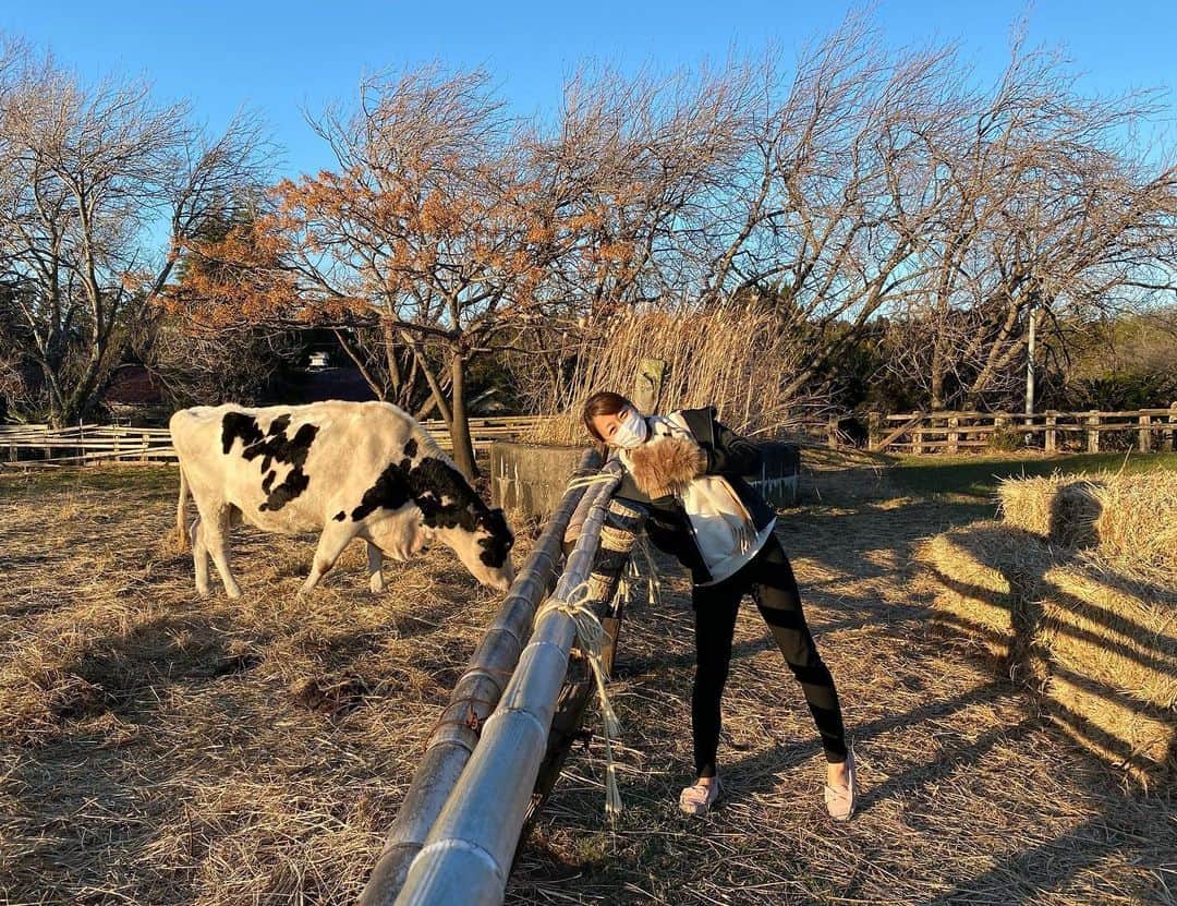 相川友希のインスタグラム：「丑年🐮 牛さんと絡モウ♡ #2021 #家族時間　#近所の散歩　#成人式　#マスク　#道の駅 道の駅好き。」