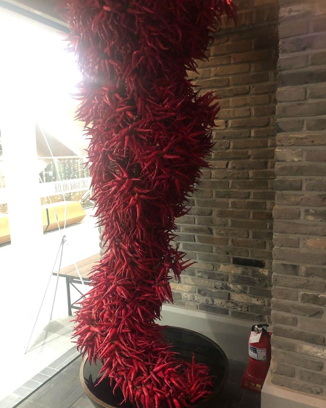 ハン・ギウンさんのインスタグラム写真 - (ハン・ギウンInstagram)「🌶 신기하게 만둘었넹」1月10日 17時57分 - vken1230
