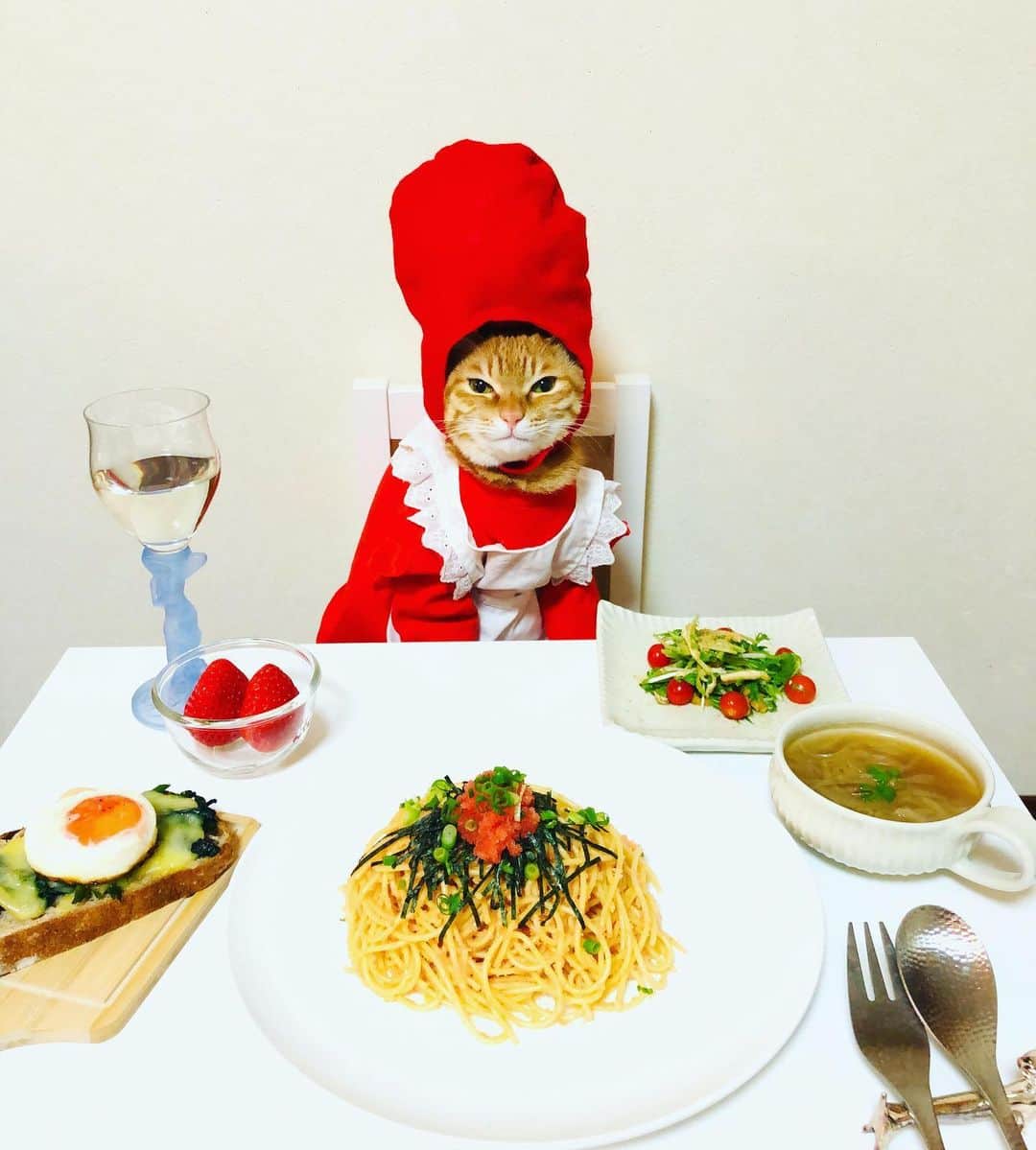 マロさんのインスタグラム写真 - (マロInstagram)「❤️明太子の日❤️ SWIPE▶️ ✴︎ 福岡の食品会社ふくやが制定したそうです。 １９４９（昭和２４）年の1月10日、前年に創業したふくやは、研究を重ねてきていた「味の明太子」を初めて店頭に並べました。 ✴︎ ・明太子パスタ (Spicy cod roe  pasta) ・水菜と油揚げのサラダ (Potherb mustard  and thin fried tofu Salad) ・ほうれん草のタルティーヌ (Spinach tartine) ・オニオンスープ (Onion soup) ✴︎ いつもコメントありがとうございます😺🙏💕 返信出来なくてすみません🙇‍♀️ 全て拝見しています🐾 ✴︎ Thank you for your kind comments😸🙏💕 I'm sorry that I couldn't reply. ✴︎ #cat#cats#catsofinstagram#😻 #food#chef#pasta#wine#ねこ #猫#ねこすたぐらむ#ねこ部 #今日は何の日#明太子の日 #ワイン#料理#猫のいる暮らし  #斉藤和義#猫の多頭飼い」1月10日 18時05分 - rinne172