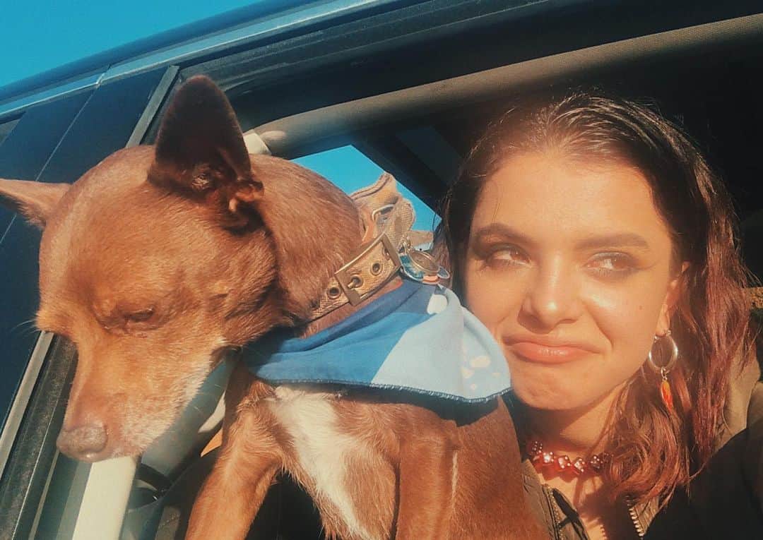 HEY VIOLETのインスタグラム：「trying to take pictures of the view but he’s busy sniffing the ocean air.... what’s everyone up to this saturday??? i’m trying to find new music. leave ur reccs✨☀️」