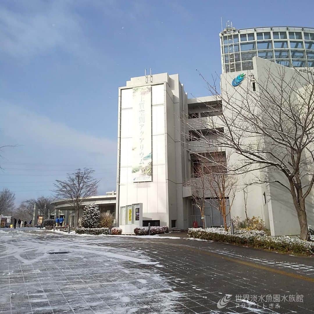 のインスタグラム：「おはようございます。 今朝、水族館周辺は数cmの積雪がありました。 というわけで、雪かきです！ 駐車場の一部や公園内通路は除雪していますが、十分にお気をつけください。  #アクアトト #アクアトトぎふ #アクアトト岐阜#aquarium#水族館」