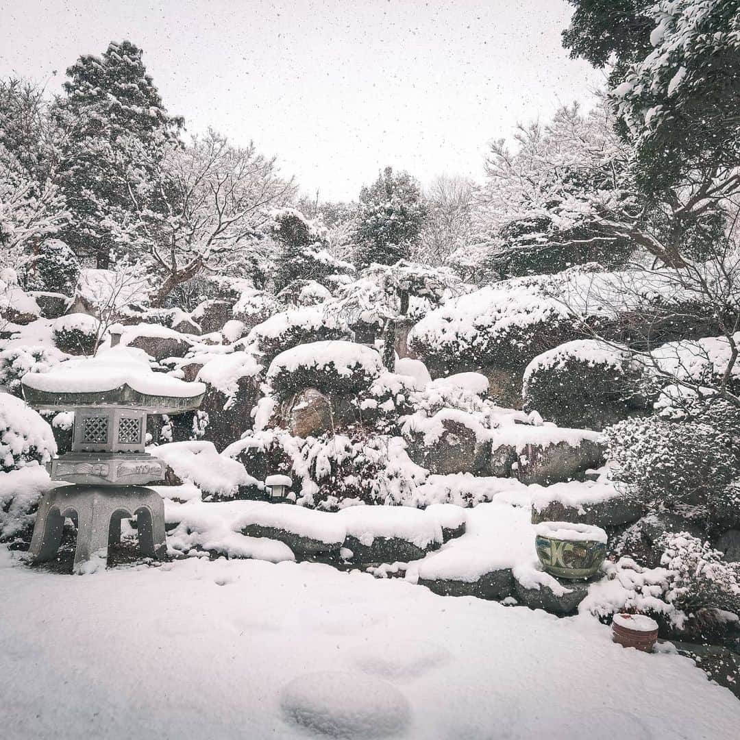 吉松育美さんのインスタグラム写真 - (吉松育美Instagram)「昨晩お庭のテーブルに積もった雪を測ったら... 28cm😵❄️💦 . 昨晩もまだまだ降ってたから積雪30cmはいきそうだ😂❄️👍 . 人生初の雪かきを経験しました🙏❤️😉東北の方には頭が上がりません💦💦💦 . . . . #積雪 #雪景色 #冬の景色 #フィルター越しの私の世界 #九州 #福岡 #寒波 #雪かき #snow #japan #winterwonderland」1月10日 10時33分 - ikumiyoshimatsu