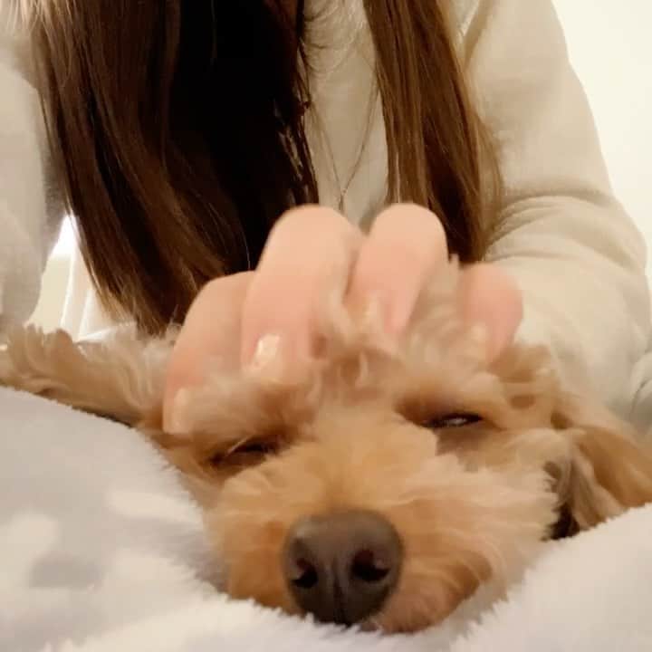 阿部真央のインスタグラム：「おはよう🌞」