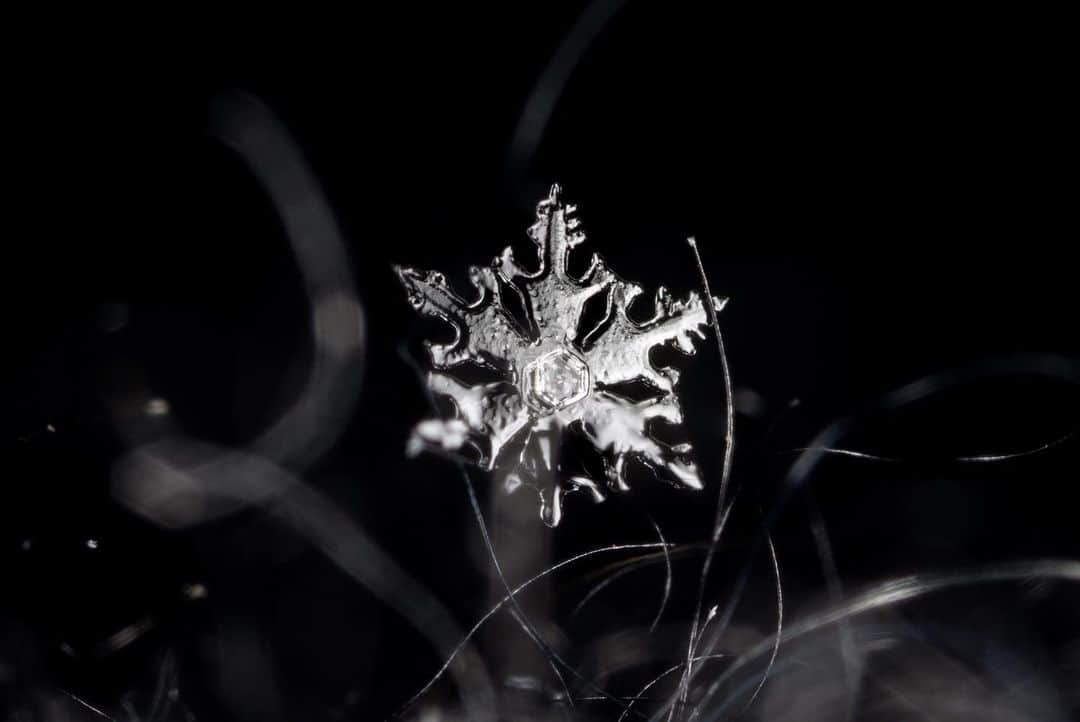 アンジー・ペインさんのインスタグラム写真 - (アンジー・ペインInstagram)「Snowflakes! After a dry spell, it was pure joy to run around the back yard this morning shooting snowflake photos. I realize I have an abnormal obsession with these little pieces of frozen perfection, but I swear there’s just nothing quite like these miniature works of art. I mean, have you ever seen a snowflake? NATURE MADE THAT. And then it fell from the sky. If that doesn’t absolutely blow your mind, then I’m not sure you can be impressed.  • If you have any interest in learning how I photograph snowflakes and how you can too, I’m really excited to be teaching an online snowflake photography class for @mymikescamera on January 30th, 3 weeks from today. Don’t worry — you don’t have to be a snowflake freak like me to take the class, any general interest in macro photography is enough reason to sign up. The class will focus on snowflakes, but the techniques I’ll discuss can be applied to all types of macro photography subjects. The link is in my bio to register. Can’t wait to spread the joy of snowflake photography! ❄️  • • • #macro #macrophotography #snowflakes #yourshotphotographer」1月10日 10時53分 - angelajpayne