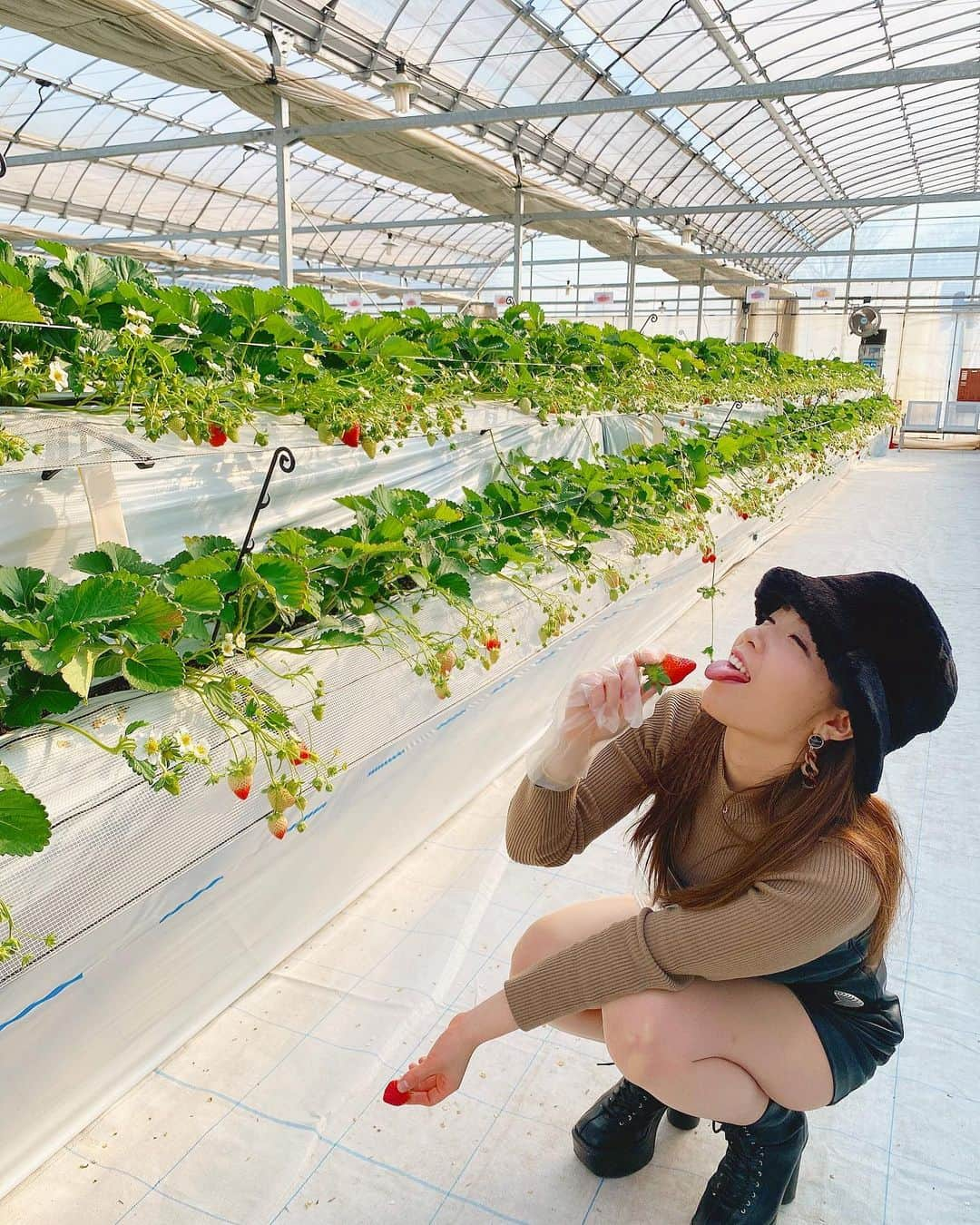 美波沙耶さんのインスタグラム写真 - (美波沙耶Instagram)「2021年ミスいちご姫🤤🍓 なんちゃって💭 ・ #美波沙耶 #セクシー女優 #バンビプロモーション所属 #バンビプロモーション #いちご #🍓 #いちご狩り #埼玉 #ストロベリー #strawberry #instapic #instagood #instalike #instagram #instafood #followｍe #follow #有名になりたい #フォローミー #フォロー大歓迎 #フォローしてね #バケハ #バケットハット #インスタ映え #インスタ映えスイーツ #japan_of_insta #japanesegirl #japan_photo #japan_daytime_view #japanesesweets」1月10日 11時17分 - saya3na3