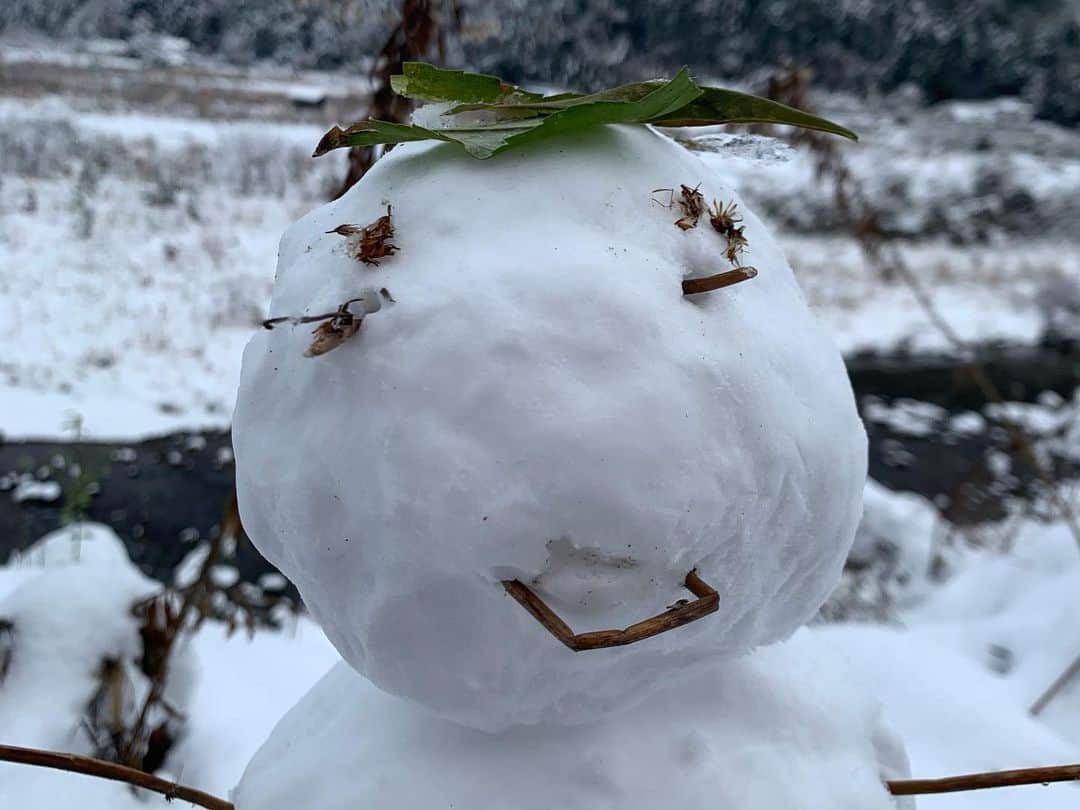 田村友里さんのインスタグラム写真 - (田村友里Instagram)「. 24歳の雪遊び！すんんんごく楽しい！！！！ #田村の休日」1月10日 11時28分 - yuri_tamura0894