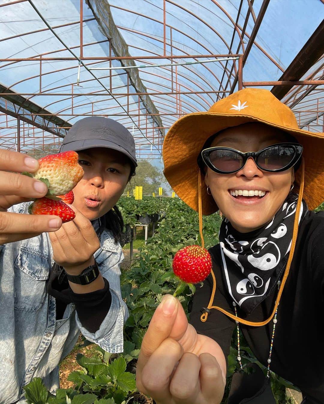 Amata Chittaseneeさんのインスタグラム写真 - (Amata ChittaseneeInstagram)「Happy birthday @monjirawan my teacher, my best friend, my sister and my family 🥳 may love and kindness be with you. Love you to the moon and cheers to many more adventures ahead of us!」1月10日 11時39分 - pearypie