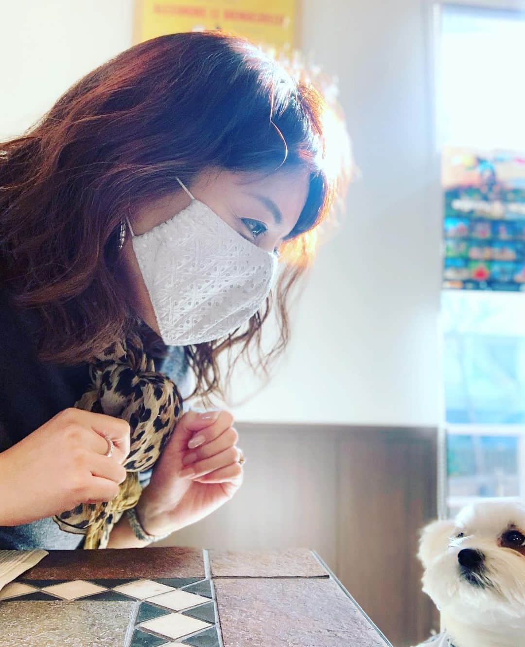チャン・リーメイさんのインスタグラム写真 - (チャン・リーメイInstagram)「どこも行けないので、 ✴︎ いつものカフェに、オシャレをして✨ ✴︎ ボーと2人でデート💓 ✴︎ 私はビールと天ぷら🍤🍻 ✴︎ ボクは砂肝食べてお昼寝✨ ✴︎ 完璧なHoliday☺️☺️☺️ ✴︎ #nodognolife  #愛犬との生活 #dogcafe #dogslover」1月10日 12時45分 - limeichiang