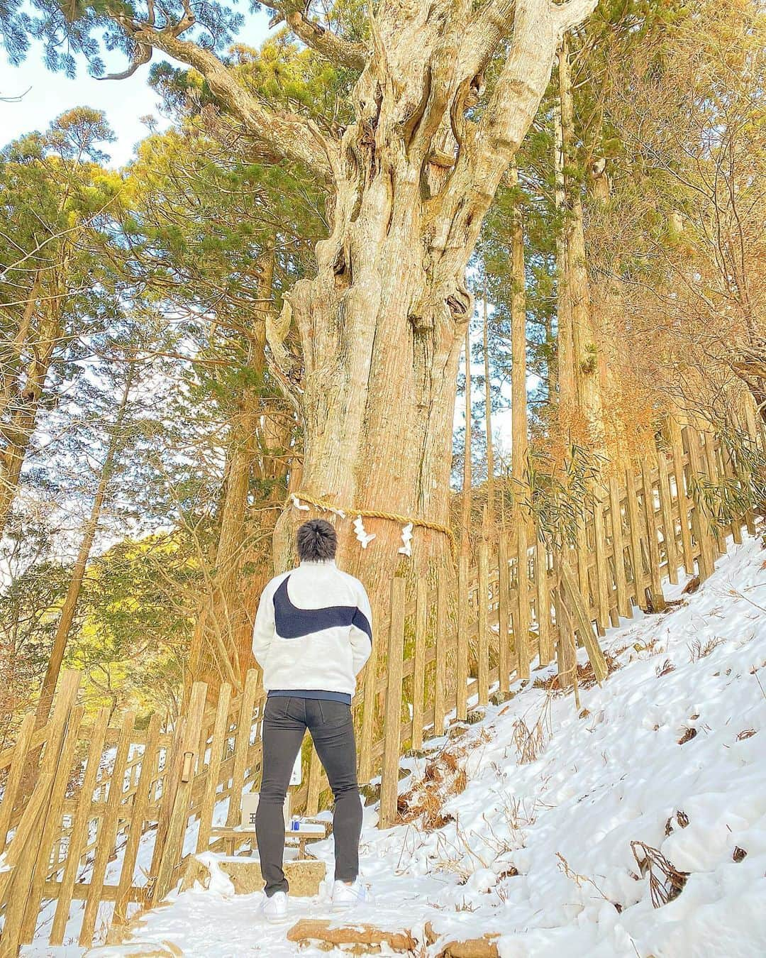 永井建成さんのインスタグラム写真 - (永井建成Instagram)「今日は玉置神社にお参りしてきやした⛩ 樹齢3000年の杉の木。 その名も神代杉 パワースポットと言うことなので行ってパワーもらってきやした👏 帰りに十津川村行って日本一長い吊り橋を渡ってきた！ 風でめっちゃ揺れててここだけの話、軽くチビったって言うのは嘘かホンマかご想像にお任せします🤭 とりあえず今日は良き1日でした😆 いいオフやね〜✨ ・ ・ #奈良県 #十津川村 #玉置神社 #素晴らしい #パワースポット #樹齢3000年 #神代杉」1月10日 18時26分 - tatsu7729