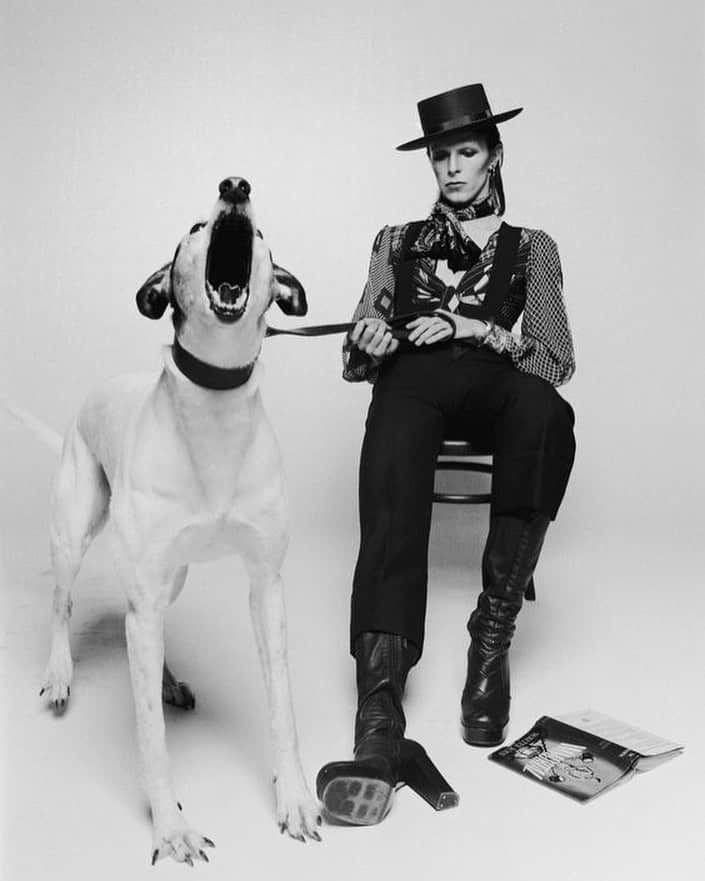 大森美希さんのインスタグラム写真 - (大森美希Instagram)「Bowie Forever...  David Bowie, Diamond Dogs 1974, photographed by Terry O’Neill  1月10日はデヴィッド・ボウイの命日。ボウイよ永遠に。  #デヴィッドボウイ #テリーオニール #ダイヤモンドドッグス #70年代ファッション #70年代スタイル #グラムロック #モノクローム #音楽 #ミュージック #スーパースター #犬 #davidbowie #terryoneill #diamonddogs #legend #70sstyle #glamrock #70sfashion #70smusic #music #monochrome #superstar #ziggystardust #musique」1月10日 13時01分 - mikiomori_