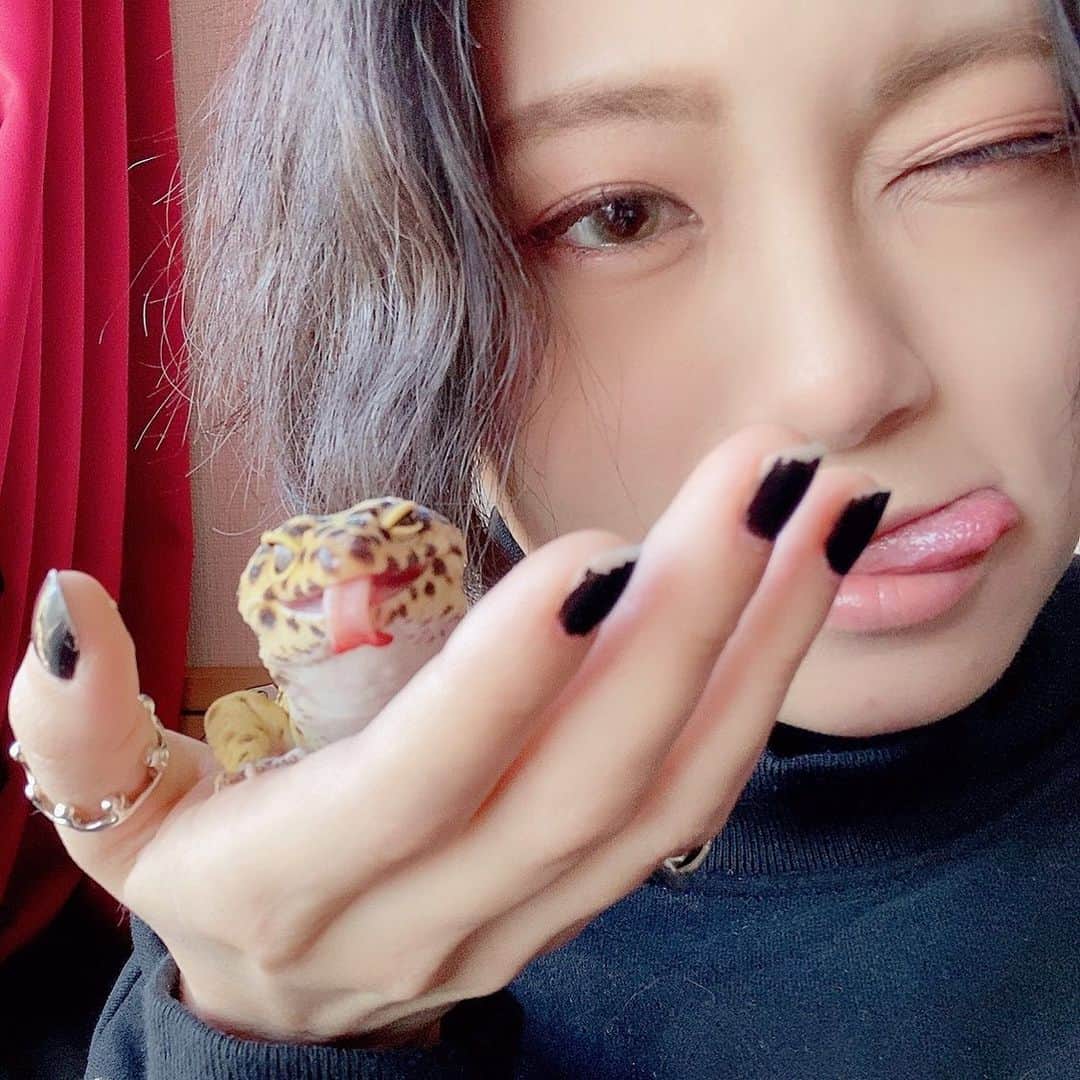 RaMuのインスタグラム