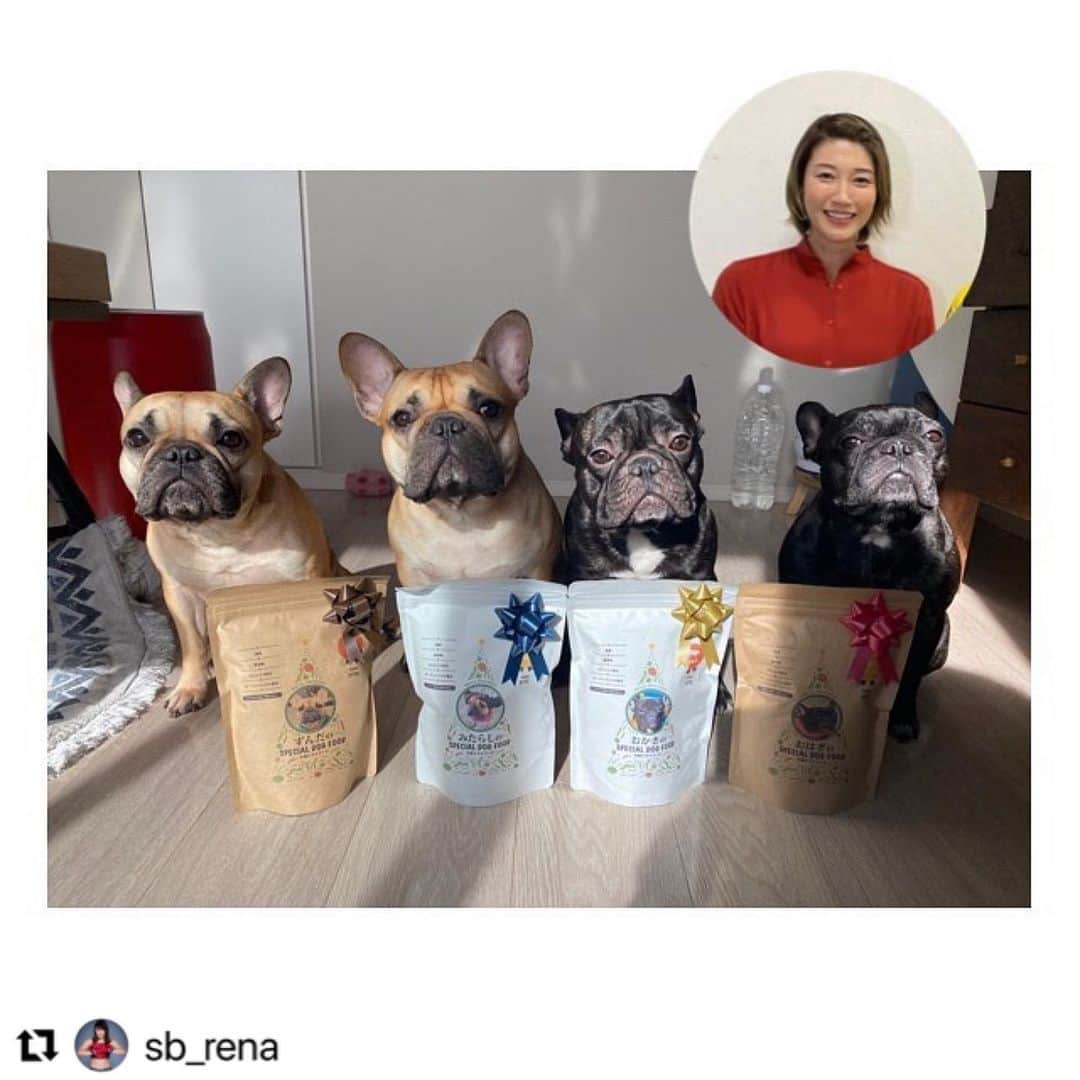 のインスタグラム：「・ 本当にお行儀が良くて可愛い🥺✨ 私まで添えてくれてありがとうございます🍴💕いい顔！！笑 ・ #Repost @sb_rena with @make_repost ・・・ 元バレーボール選手の狩野舞子さんからお子達に素敵なプレゼントいただきました🎅❤️ パッケージには写真とお名前つきで可愛すぎるぅ。。。　  国産、無添加のペット学園さんの『究食ごはん』‼️美味しそうにみんなペロッと食べてました😋✨✨  ありがとうございました🙏❤️  〜素敵な笑顔とオチャメな狩野さんを添えて〜  #ペット学園 #究食ごはん」