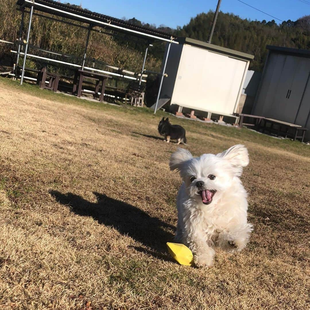 小野真弓のインスタグラム