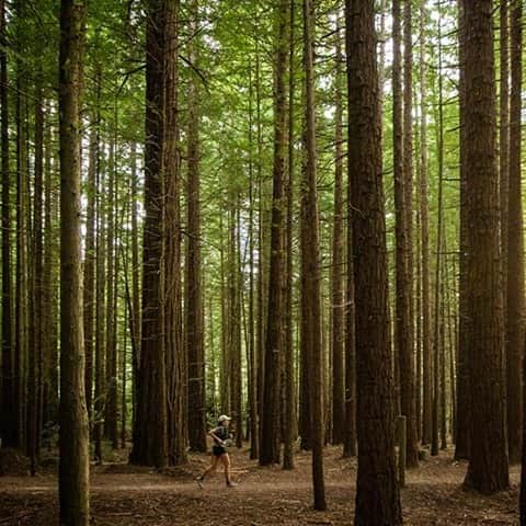 のインスタグラム：「Taking part in the Tarawera Ultra? Mandatory gear checks are available nationwide at all Macpac stores. Get your gear checked in advance, skip the queues and get that peace of mind. Simply drop into any Macpac store from 11 January 2021 until 5pm, 12 February 2021. If it passes, you'll be given a certificate to bring to Athlete Check-In. See you soon 🏃🏽‍♂️💪🏽 @taraweraultramarathon . . . #gearcheck #outsideisbetter #trailrunning #ultramarathon」