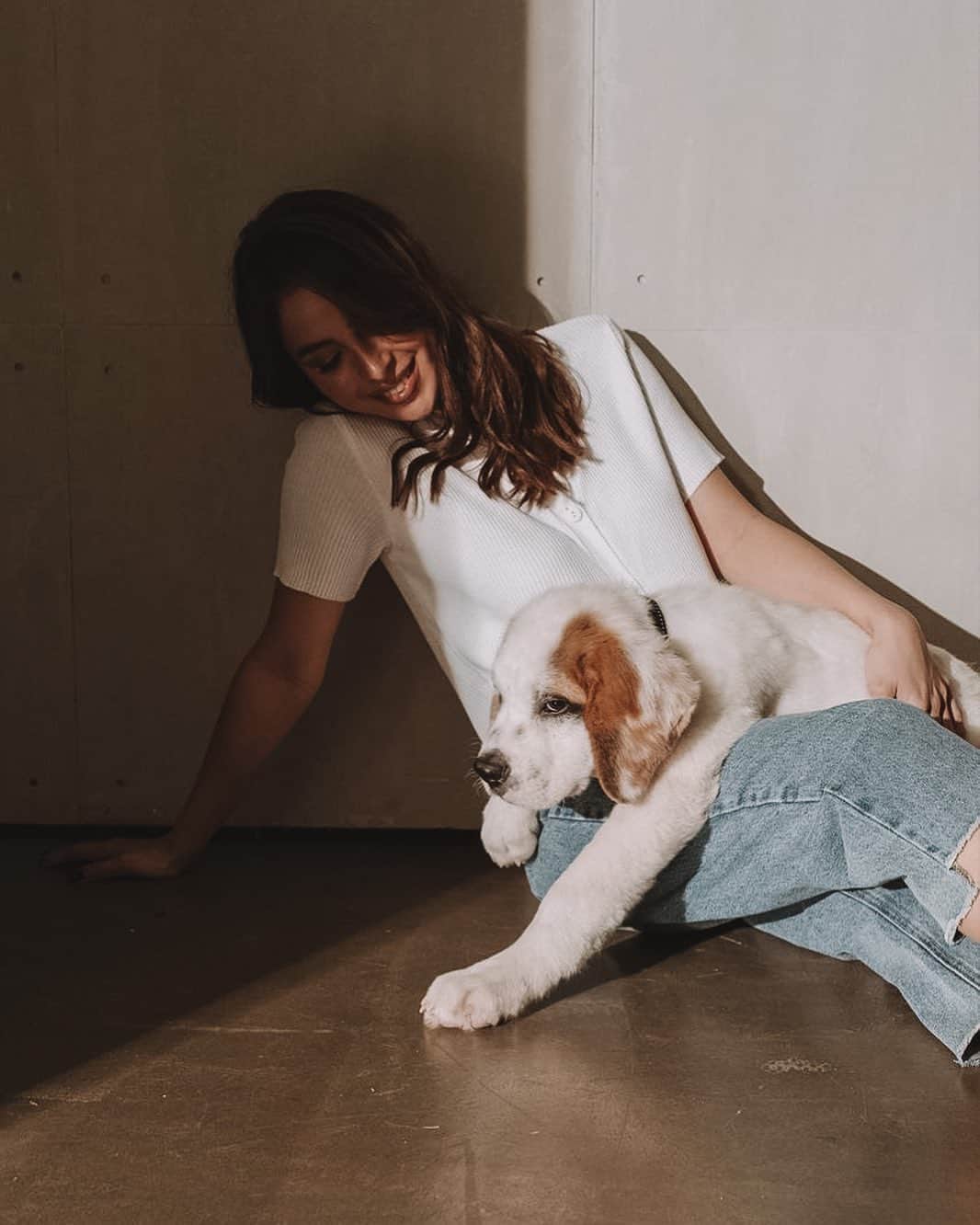 ジュリア バレットのインスタグラム：「Our sweet boy 🤎 @amarithestbernard」