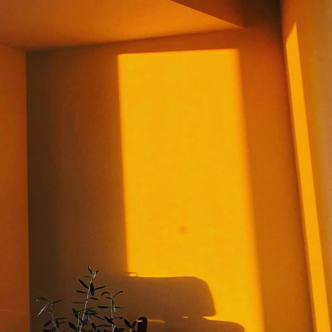 皇咲あゆさんのインスタグラム写真 - (皇咲あゆInstagram)「、 Sunsetで焼ける部屋がスキ。 ． #🌇#🌞#オリーブ🫒」1月10日 16時39分 - sally.0970