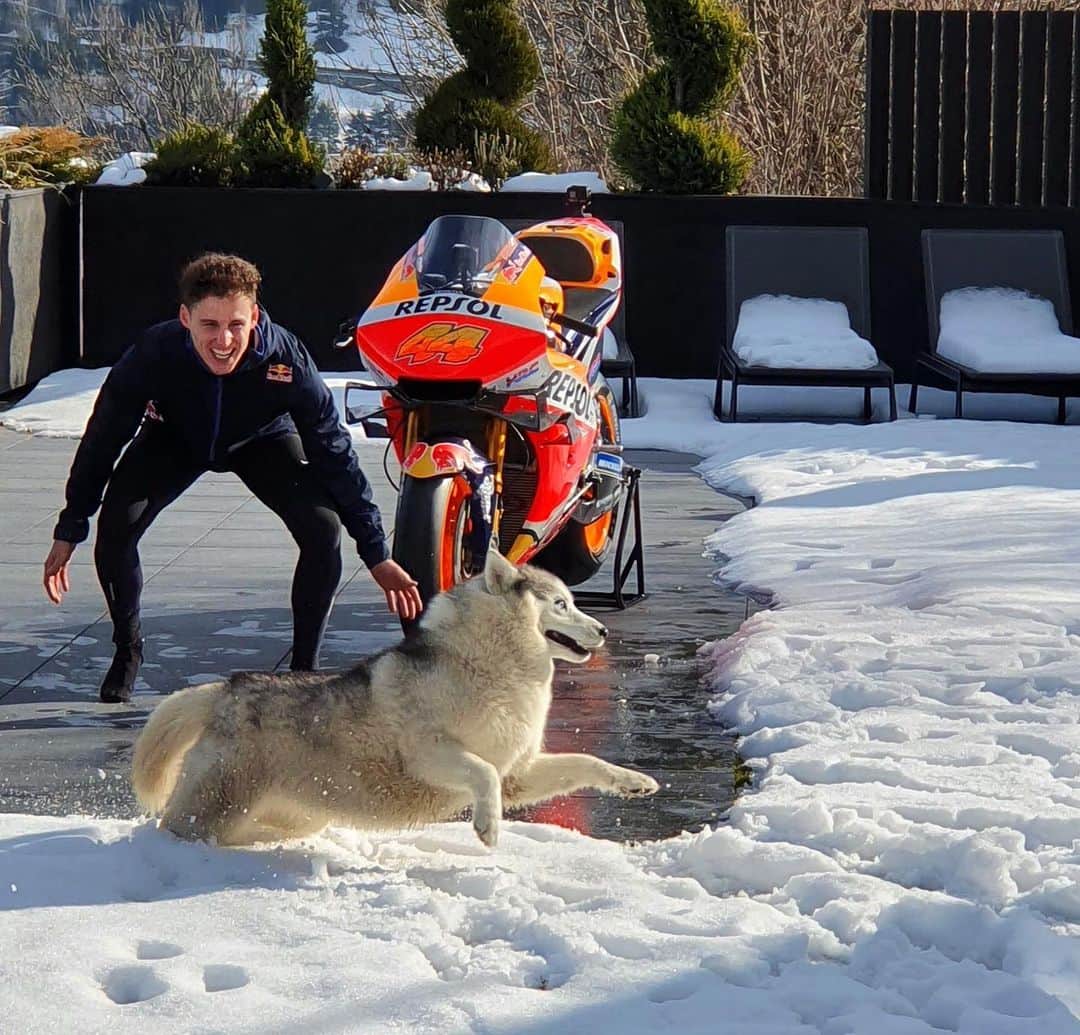 レプソル・ホンダのインスタグラム：「On a scale of one to @polespargaro with his new Honda RC213V and his dog, how excited are you for the new season?」