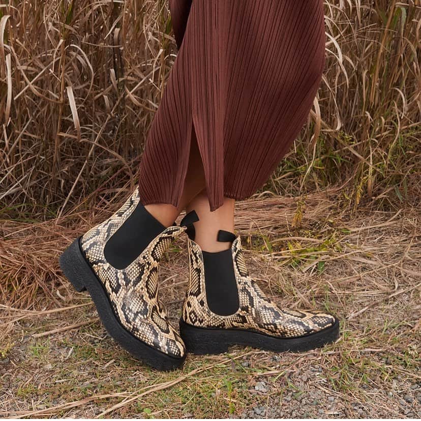 レフラーランドールのインスタグラム：「Raquel in the wild 🌾」