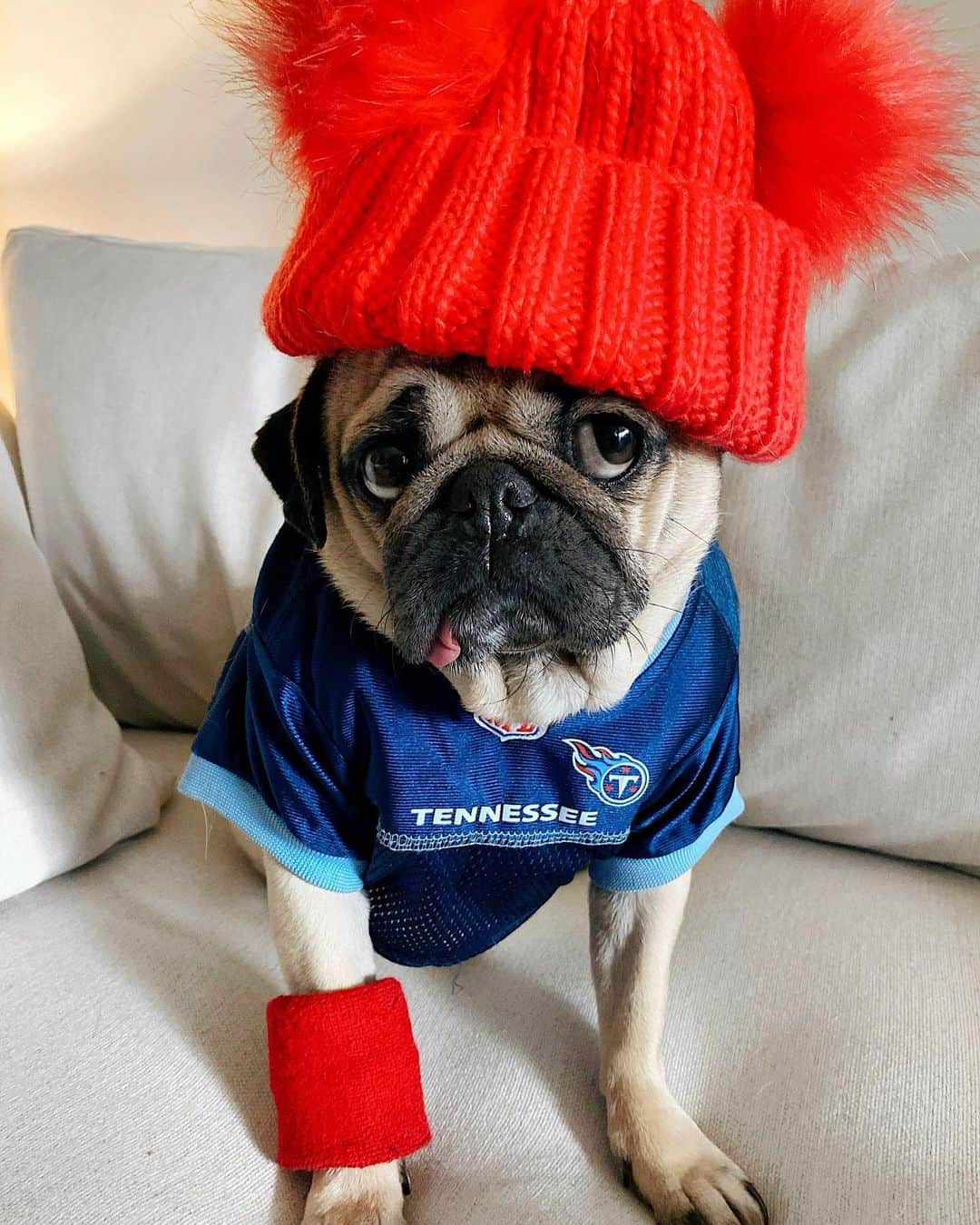 itsdougthepugさんのインスタグラム写真 - (itsdougthepugInstagram)「“Will my team win today?” -Doug」1月11日 2時48分 - itsdougthepug