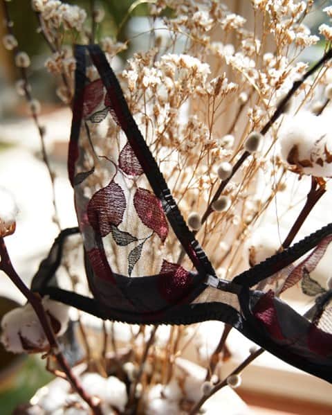 レジャビーのインスタグラム：「L'élégance se cache dans les détails — details matter #valse #maisonlejaby #lingerie #underwear #broderie #feuillage #embroidery #foliage #elegance #transparence」