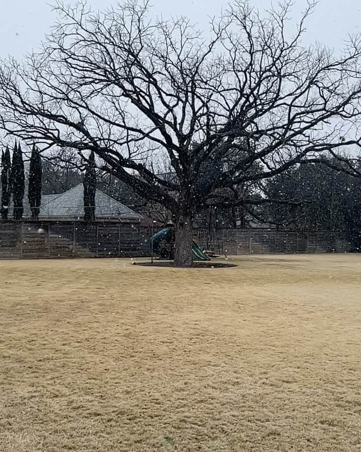 ダルビッシュ有のインスタグラム：「☃️」