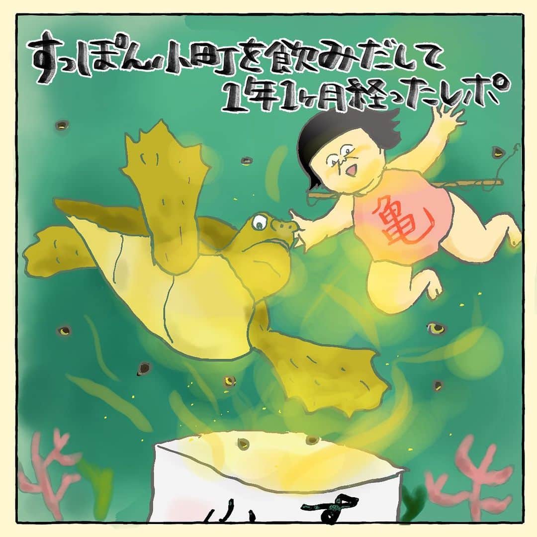 大盛のぞみのインスタグラム：「【PR】﻿ ﻿ ガチで飲んどる！﻿ ﻿ 皆さんご存知すっぽん小町🐢(@official_komachi)﻿ ﻿ すっぽん小町を飲み始めて、はや1年。﻿ ﻿ イヤになったら飲みかけでもすぐ辞められるから、と気軽に始めてずっと続いてます👺👐﻿ ﻿ 普通に買うと1袋62粒入り3024円でちょっと割高なので、2袋5140円の定期便にして、その分疲れた時に1粒〜2粒多めに飲んだりしてるよ！﻿ ﻿ 朝晩エナジードリンク飲んでた時よりもゴミも出ないしお得なんだな。﻿ ﻿ 元気が出るのもだけど、わたしが効果を実感してるのは肌！！﻿ この1年、寝つきがよく寝起きが良かったせいか吹き出物が1度も出なかった。﻿ ﻿ 去年より1歳年取ったのに、ファンデーションを厚く塗らなくてもいいようになったんじゃ。﻿ ﻿ 元気に勝るものなしと思ってこれからはバブ夫と続けていくつもり👶﻿ ﻿ ただ、口に入るものなので、無理強いもしたくないんです。﻿ ﻿ 食べ物や起き抜けのセルフビンタや生活習慣で元気になりそう！って方にはまだ早いかもだよ、すっぽん小町。﻿ ﻿ ほんとにオススメの商品だから笑いもなくまじめに語ってしまった😂﻿ ﻿ ﻿ ⭕すっぽん小町は公式サイトでのみ正規品が買えるよ🐢﻿ 返品返金保証があるのは正規品のみだから公式サイトで買うのが正解と思う！﻿ ﻿ ﻿ #すっぽん小町﻿ #PR﻿ #漫画﻿ #描いてみた﻿ ﻿ ﻿」