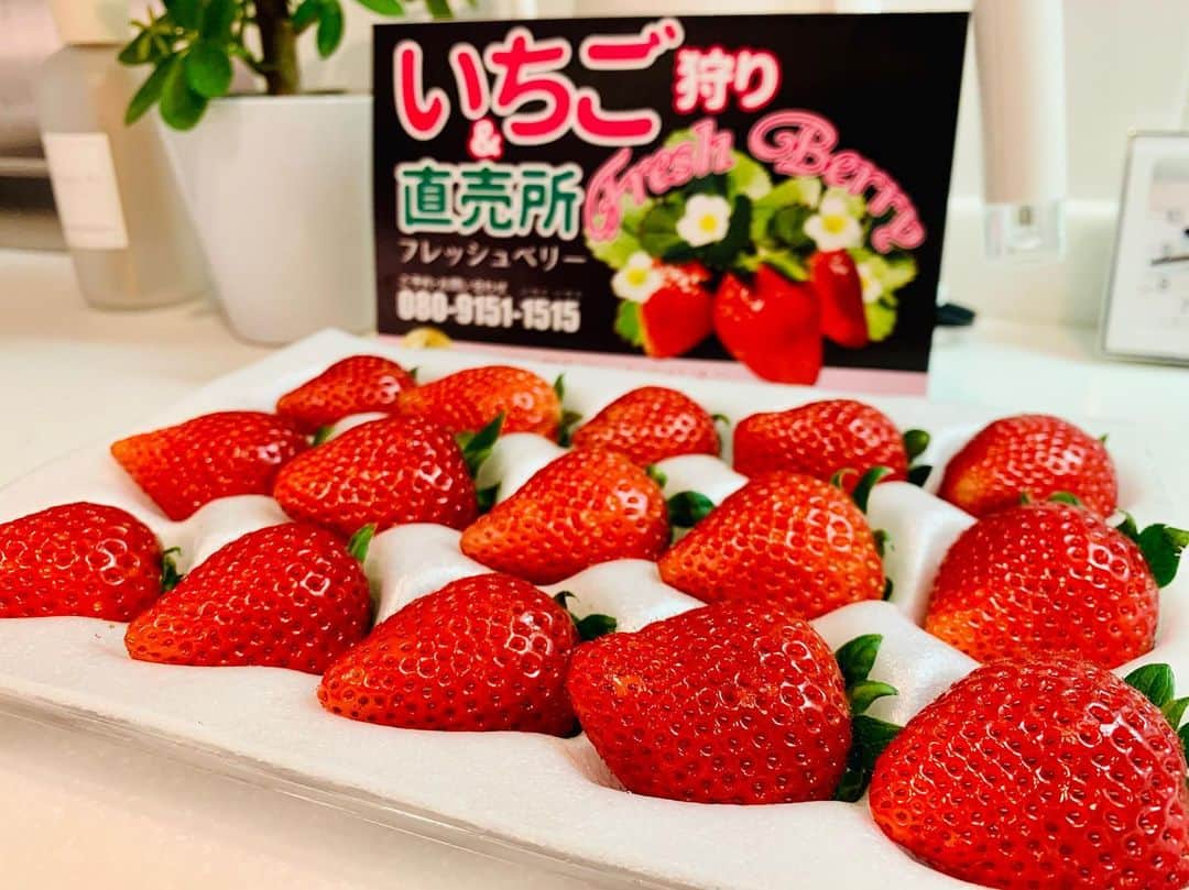 黒田アーサーのインスタグラム：「僕が大好きな群馬県Fresh Berryの苺を頂きました😊🙌ここの苺🍓は本当に甘くて最高に美味しいんです💕ありがとうございました！ いちご狩り直売観光農園フレッシュベリー〒370-1103 群馬県佐波郡玉村町樋越１ #1番好きないちご  #群馬県  #いちご狩り直売 #観光農園フレッシュベリー #高級いちご🍓」