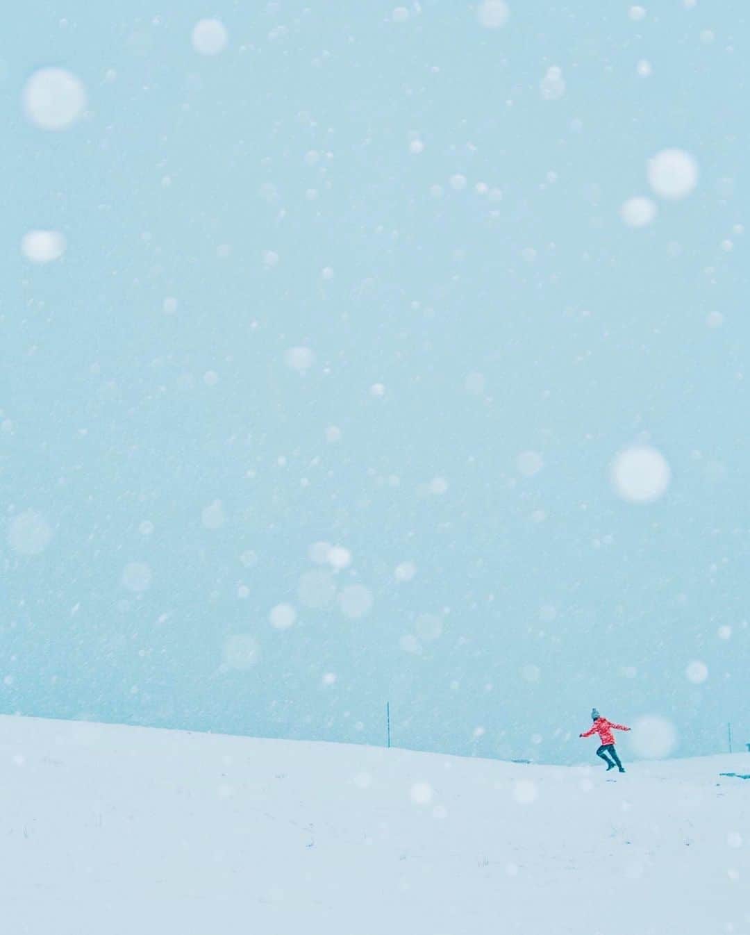 yukiさんのインスタグラム写真 - (yukiInstagram)「・ ・ ・ Wonderful winter days ・ ・ ・ ◉sty830 base shop◉ https://sty830.base.shop/ ・ ・ ・ #新潟　#雪　#雪景色　#こめぐりの郷公園」1月10日 18時40分 - sty830