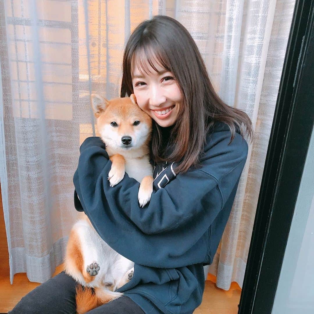 崎本ゆかりのインスタグラム：「family💛豆柴うたです🐾  . . 胸板厚くて筋肉隆々。でも一応 豆柴の女の子w 運動神経良すぎてびっくりする〜〜けど すんごく甘えんぼ..あーー可愛いっっ。ぎゅ♡ だいすき #mameshiba#shibainu#dog#dogstagram#love#family#memories#xoxo#豆柴#うた#子犬#女の子#胸板厚子#柴犬#可愛い#家族#犬好き#動物好き#癒し#親バカ部#💋#🐕」