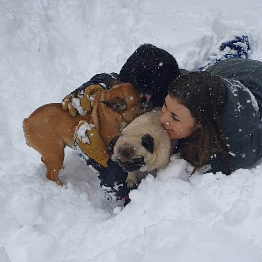 のインスタグラム：「Pug_nikita nieveenMadrid#disfrutandoatope#」