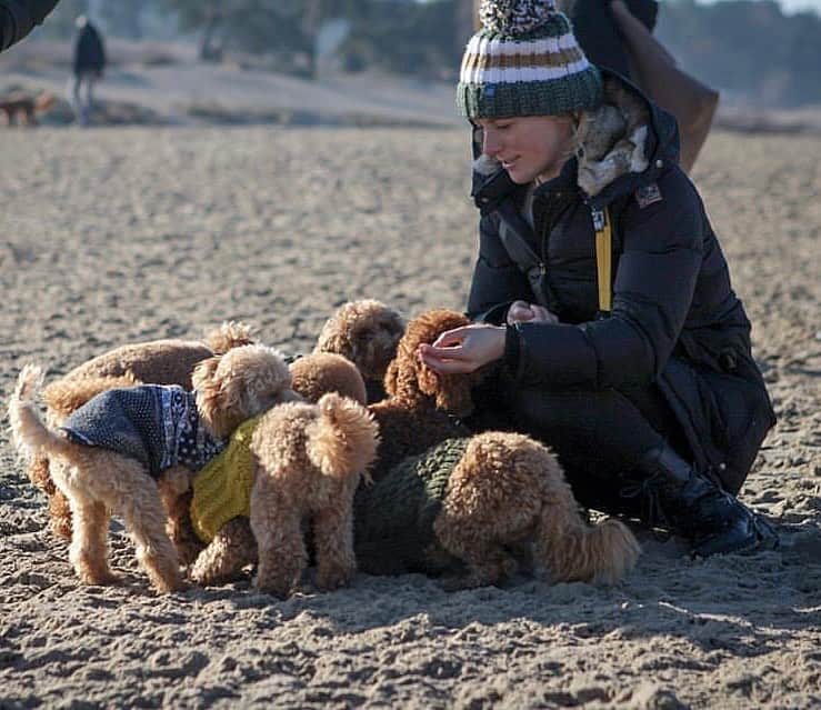 キーラ・トゥサントのインスタグラム：「Cuteness overload 😍🐕🐩 #poodlewhisperer 🤣 ps. @binkythebink was probably running around somewhere being our protective barking queen 🤦🏼‍♀️🤣 📷: @tannithm」