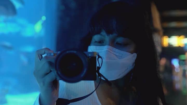 Putri Anindyaのインスタグラム：「Things around us, that surround us, that carry us, that please us. Sometimes it’s unseen, most of the times it became routine.   My observation this time got a company from @sonyalpha_id , a little compact friend called A7C. This camera is super light so I can easily bring it anywhere and observe discreetly, anonymously. But, don’t get fooled by the size of this camera cause the quality of #sonyA7C is the same and even exceeds those heavy cameras out there. I’ve been shooting with 100fps and 50fps for this one so I could make a lot of slow motion and I am impressed. Even without it, this camera is so stable. You can see some footages I shoot while walking and it’s quite steady.   So I hope this video would make you more curious with this camera. I took ALL the clips with Sony Alpha 7C cause I want to show you the quality from this camera.  Song : in one place... by Barradeen  https://soundcloud.com/barradeen Creative Commons Attribution-ShareAlike 3.0 Unported https://creativecommons.org/licenses/by-sa/3.0/deed.en_US」