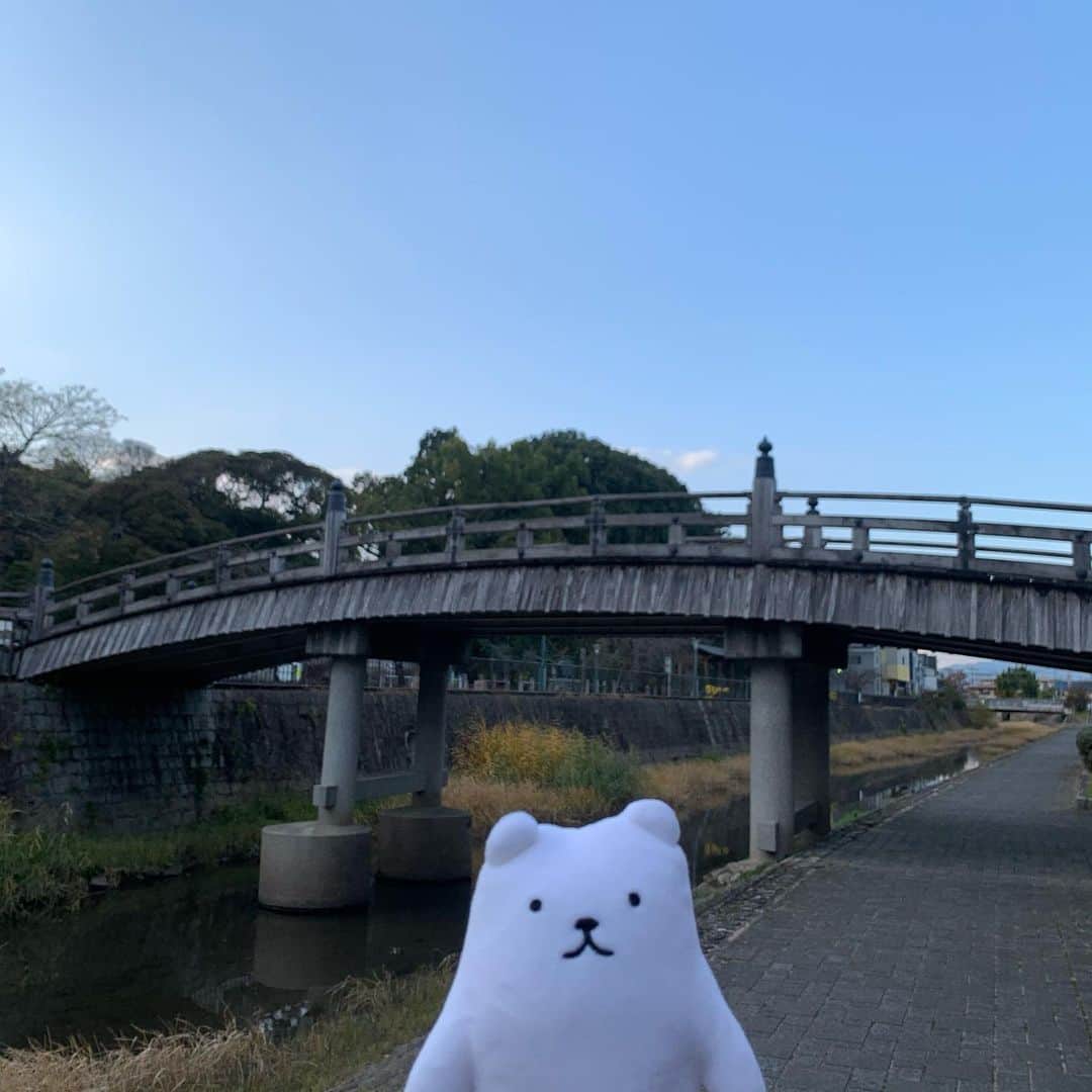のインスタグラム：「フィルたんだよ〜💬 ・ 最近寒いね🥶 みんなは健康管理できてるかな？  ぼくは健康管理のために 散歩をよくするんだ〜！  今年も頑張っていこ〜！  @toyalekco_official @filtan_official ・ #フィルたん #冬 #健康管理 #散歩」