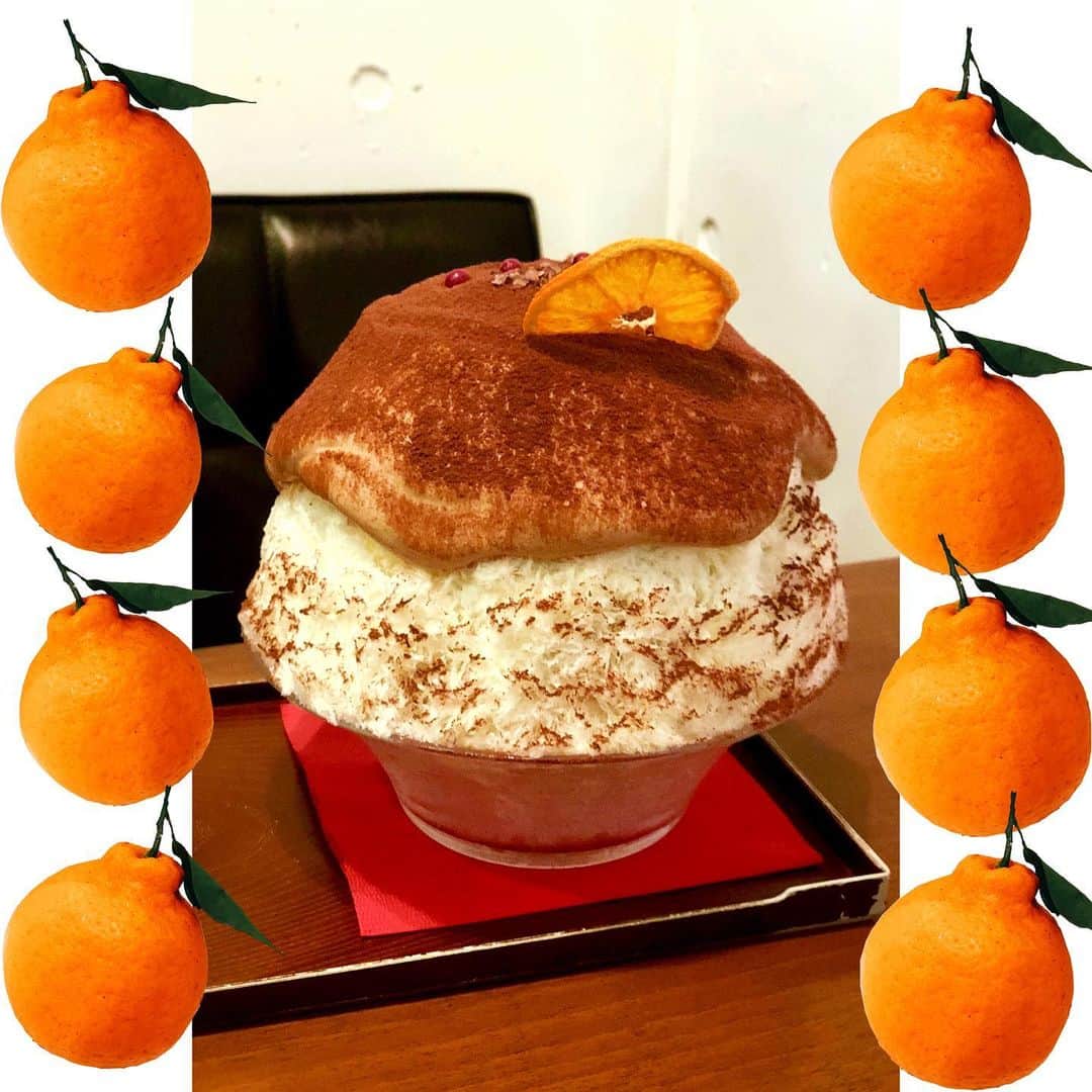 しなしさとこのグルメインスタ