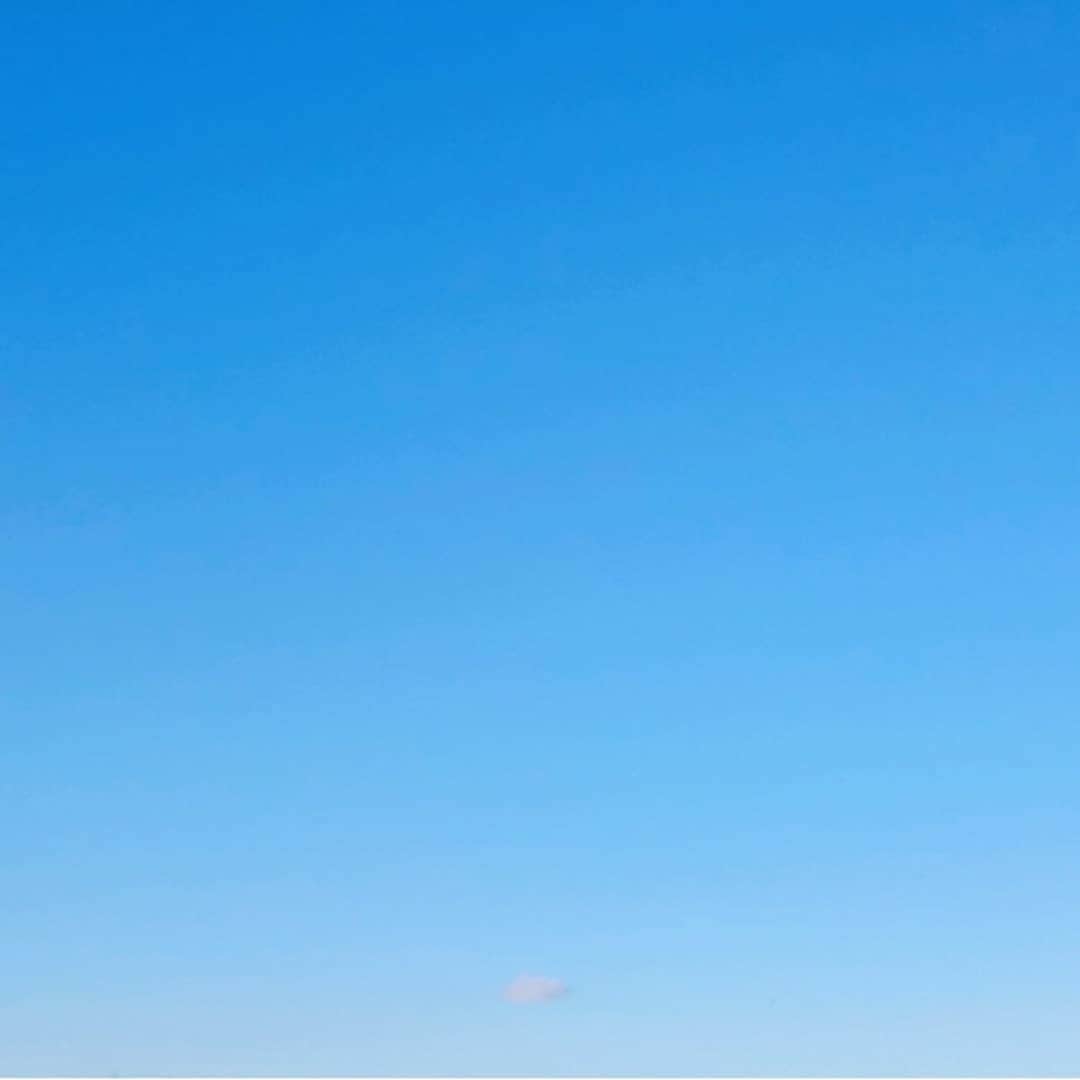 吉井怜のインスタグラム：「雲ひとつない青空に 雲ひとつ見つけた  #今日の空」
