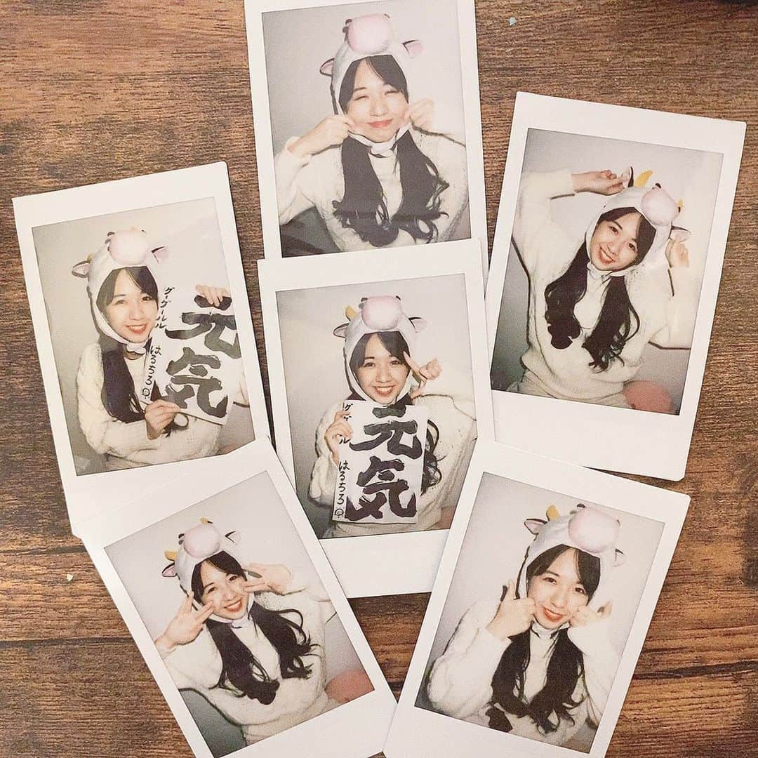 のインスタグラム：「あけおめことちろ2021🐮 今年も元気に！みんなも元気になりますように🤲」