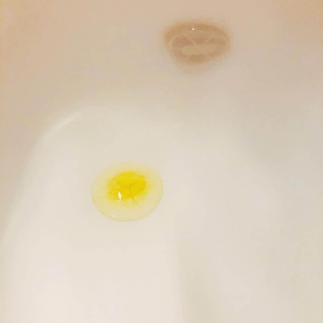 H-el-ical//さんのインスタグラム写真 - (H-el-ical//Instagram)「﻿ おふろ に スライム が あらわれた !﻿ ﻿ ※入浴剤です﻿ ﻿ A slime appears in my bathtub!﻿ ﻿ ※It's bath oil ball﻿ ﻿ ﻿ #目玉焼きにも見える﻿」1月10日 20時06分 - hikaru_0702_official