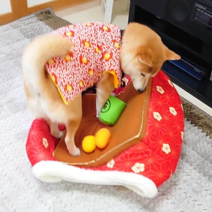 ちゃみのインスタグラム