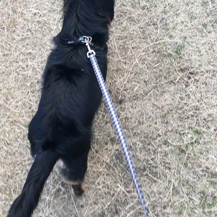 まさのインスタグラム