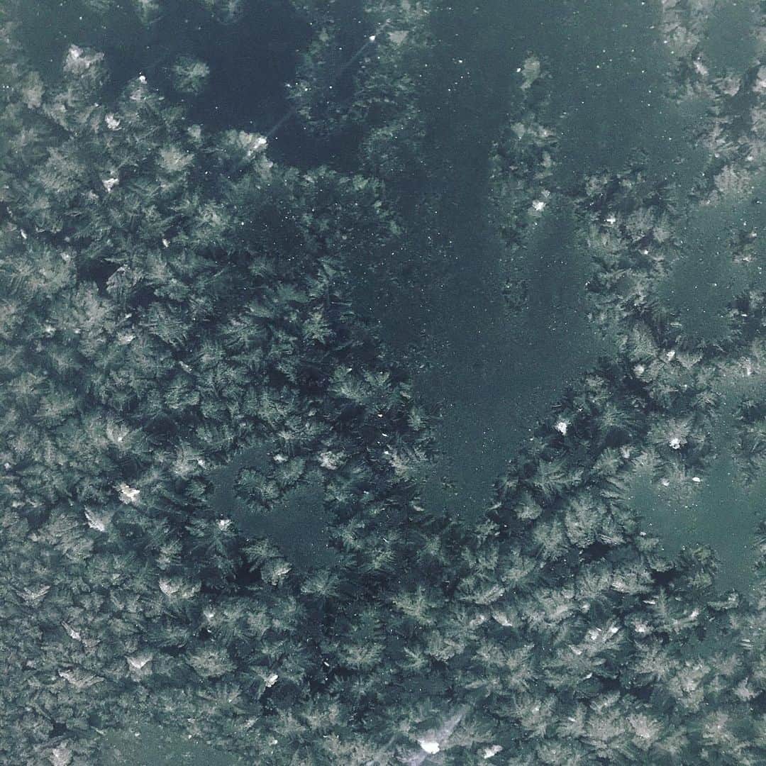 セラ さんのインスタグラム写真 - (セラ Instagram)「My window」1月10日 20時42分 - ryuserasera