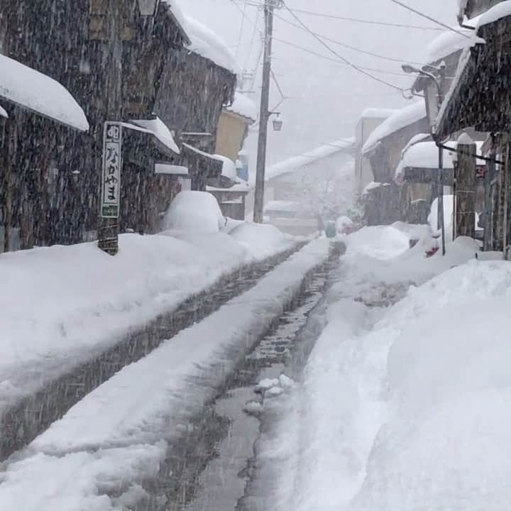 旅館 川端屋のインスタグラム：「福井県大雪警報ですが、今庄はまだ例年通りの降り方です。 今年は感染症の影響により今庄365スキー場営業していませんが、来年このくらい降ったら恵の雪ですね☃️ 本年も川端屋旅館をよろしくお願いします😊  www.kawabataya.jp  #川端屋旅館 #今庄宿 #福井の宿 #鯖寿司 #今庄365スキー場」