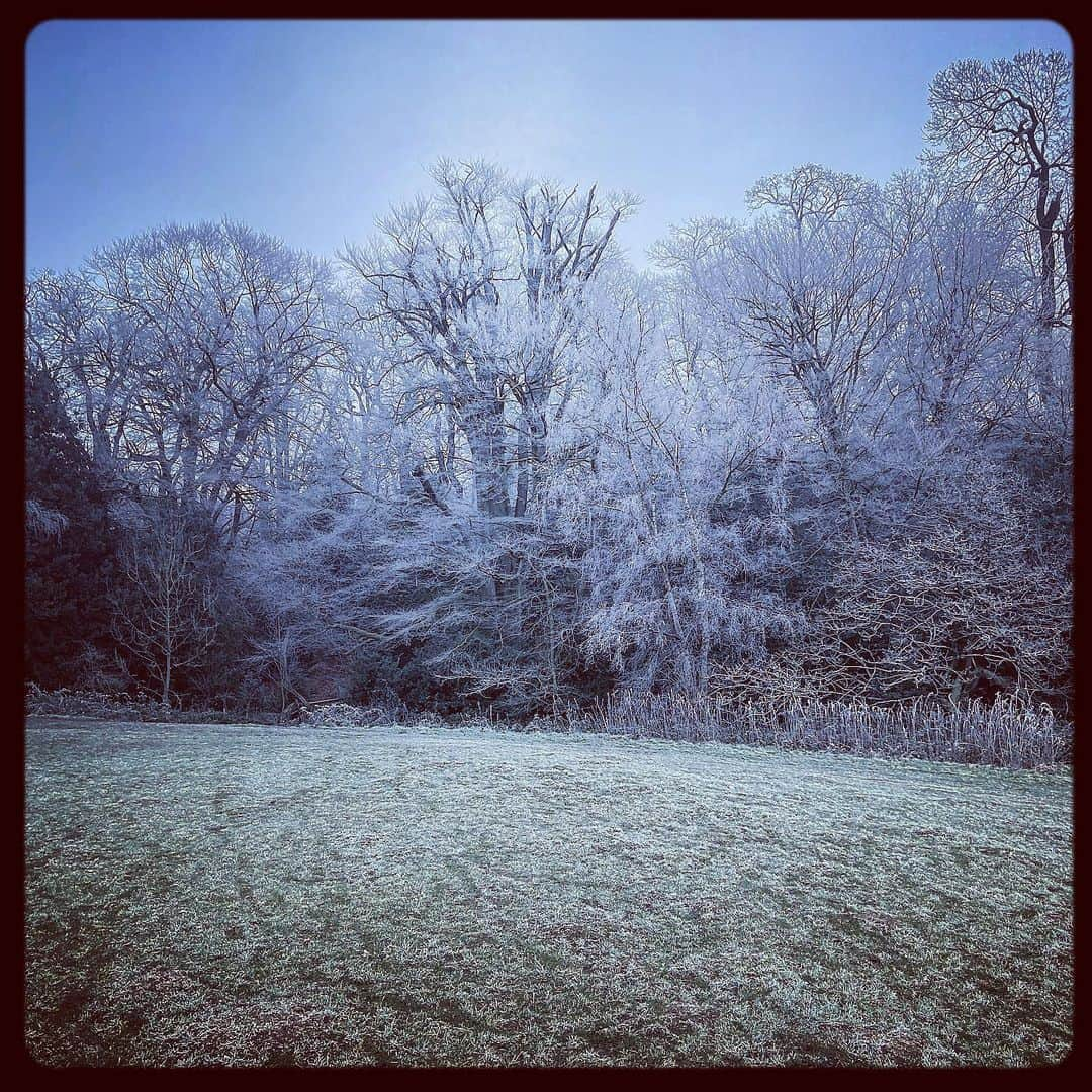 デビッド・モリシーさんのインスタグラム写真 - (デビッド・モリシーInstagram)「Chilly」1月10日 20時59分 - davidmorrissey