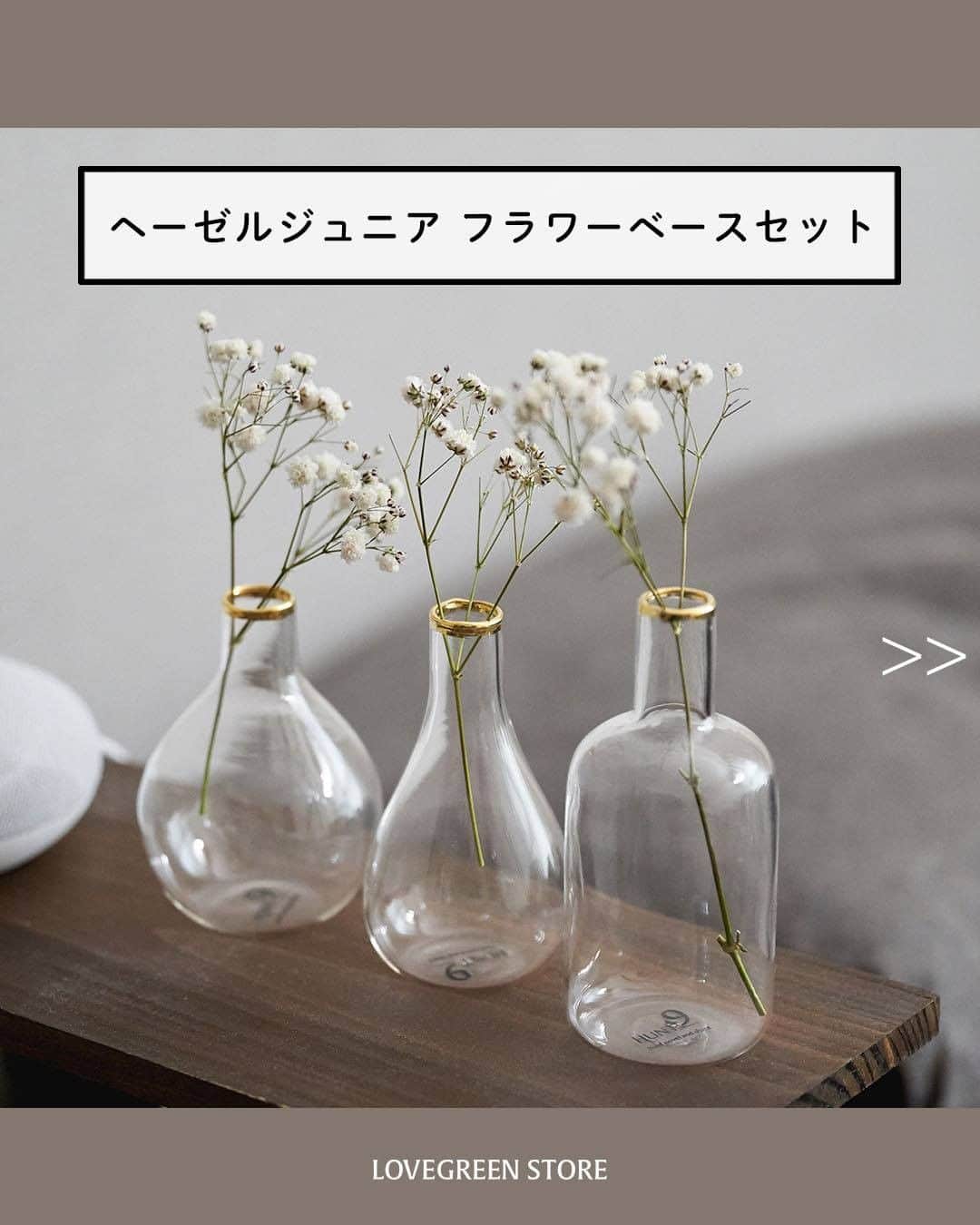 LOVEGREEN -植物と暮らしを豊かに。のインスタグラム