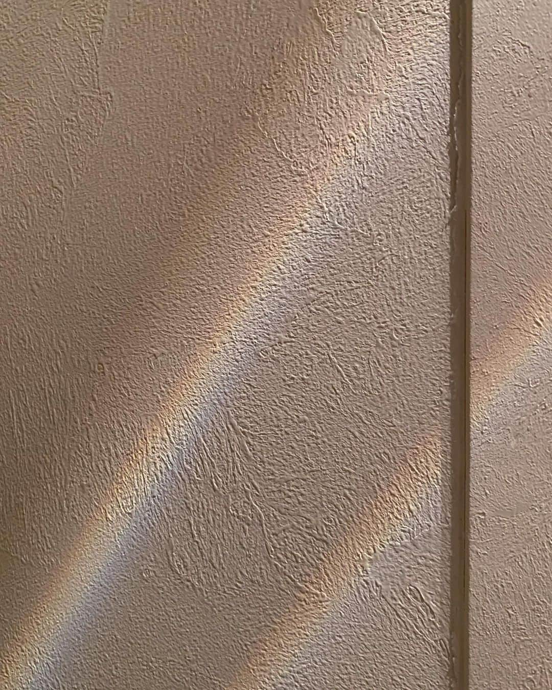 信太美月さんのインスタグラム写真 - (信太美月Instagram)「I'm a rainbow hunter in trailer house🌈」1月10日 21時11分 - shidamizuki