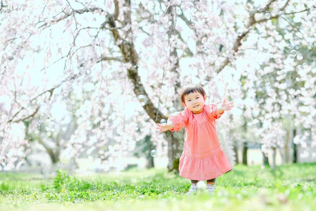 Photream-こどもと家族の成長写真-さんのインスタグラム写真 - (Photream-こどもと家族の成長写真-Instagram)「- ハーフバースデーから、お姉ちゃんになるまで。 3回成長プランで2年に渡り、撮影させていただいているご家族様です。 これからも寄り添い、ずっと。 - 🕊1回目 6ヶ月の記念日に🎉 🕊2回目 1歳の記念日に🎂 🕊3回目 桜の季節に、元気に走り回っている姿に感動🌸 - - - 【初回実質半額！3回成長プラン】 マタニティ、ニューボーン、バースデーなどで利用可能なフォトリの「3回成長プラン」では、子ども撮影が得意なフォトリのカメラマンのみが、出張撮影しています。 【現在開催中のキャンペーンはURLから】 💎おうちフォトなら、お好きなブランドの衣装代が実質無料！ 👘お宮参り撮影が、期間限定で3,000円オフ！ - - #フォトリ　#フォトリスタジオ  #ハーフバースデー  #家族写真のすすめ  #出張撮影 #ロケーションフォト #関東ママ #関西ママ #バースデーフォト  #お誕生日撮影  #新米ママ #プレママ  #2020生まれ #インスタキッズ #ママリ #コドモノ #子どものいる暮らし #令和ベビー #女の子ママ #男の子ママ #おしゃれきっず #キッズコーデ #キッズファッション  #ままのて #ハーフバースデーフォト  #男の子ベビー #バースデーフォト  #家族写真 #ベビフル #赤ちゃんのいる暮らし」1月10日 21時06分 - photream_com